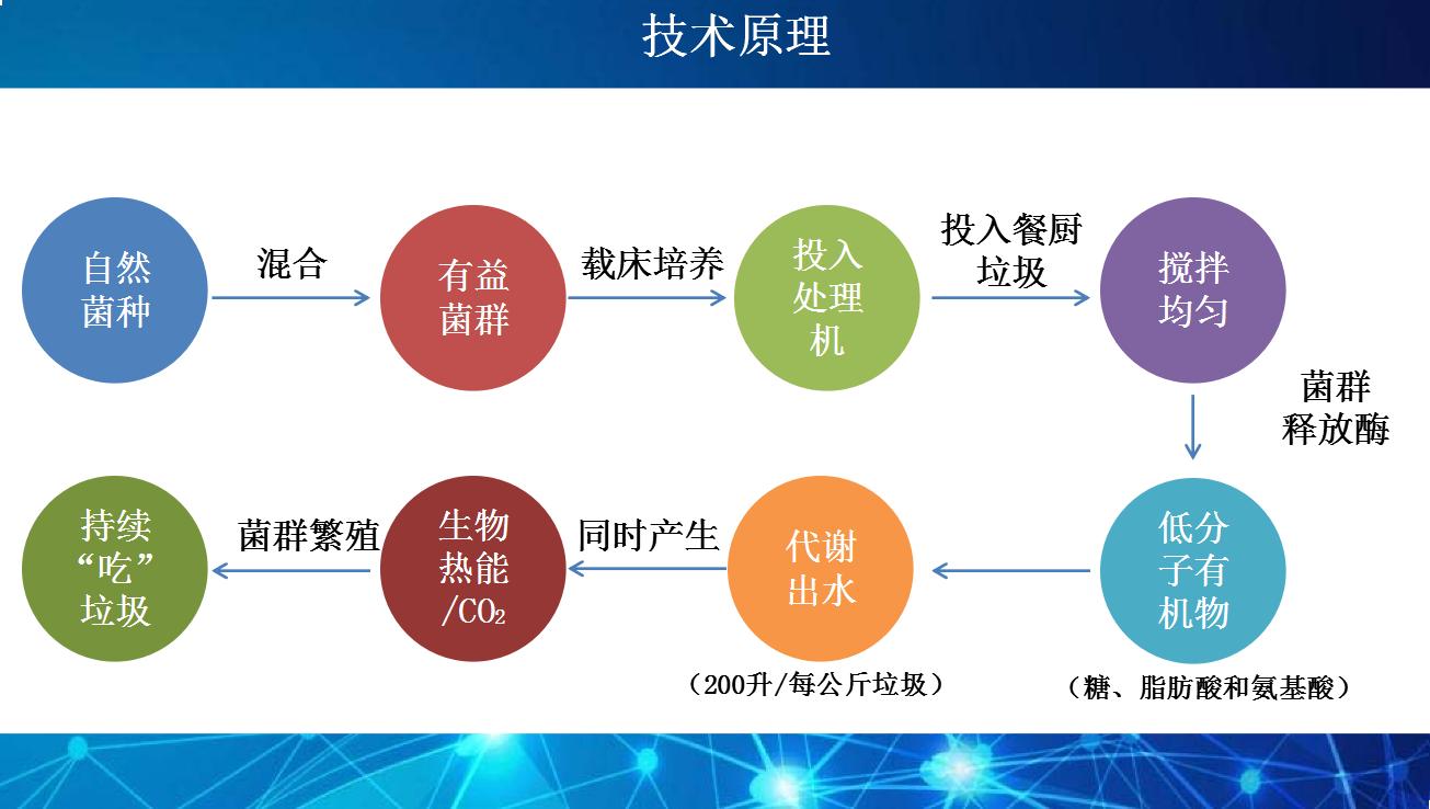 微生物處理技術(shù)的應用原理